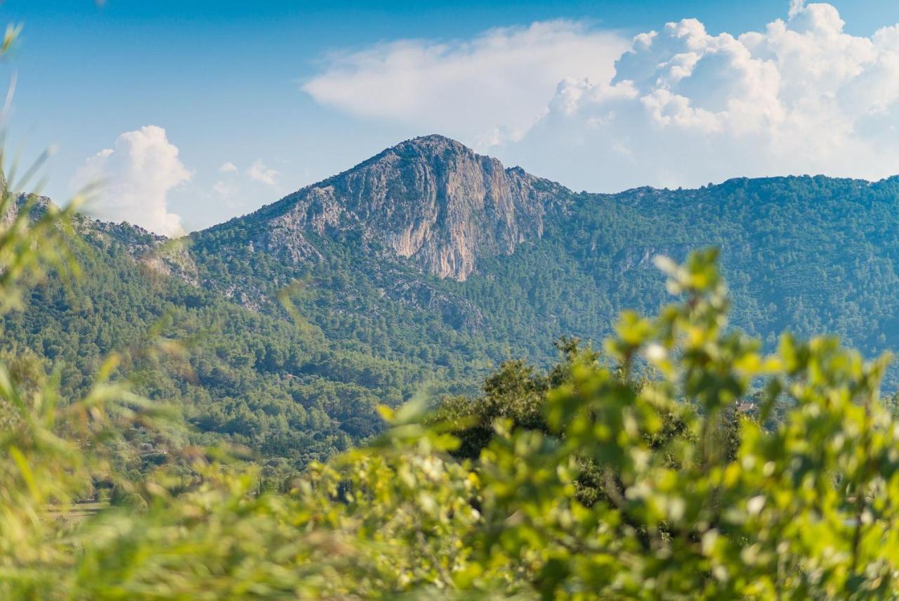Finca Coster Польенса Экстерьер фото